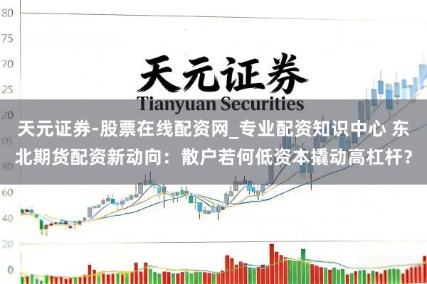 天元证券-股票在线配资网_专业配资知识中心 东北期货配资新动向：散户若何低资本撬动高杠杆？