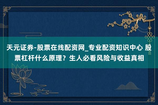 天元证券-股票在线配资网_专业配资知识中心 股票杠杆什么原理？生人必看风险与收益真相