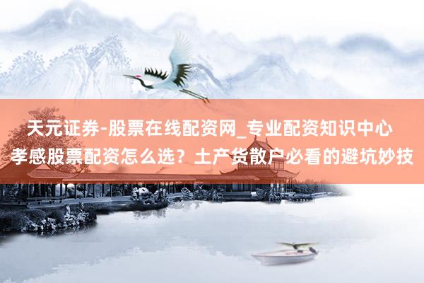 天元证券-股票在线配资网_专业配资知识中心 孝感股票配资怎么选？土产货散户必看的避坑妙技