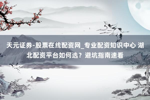 天元证券-股票在线配资网_专业配资知识中心 湖北配资平台如何选？避坑指南速看