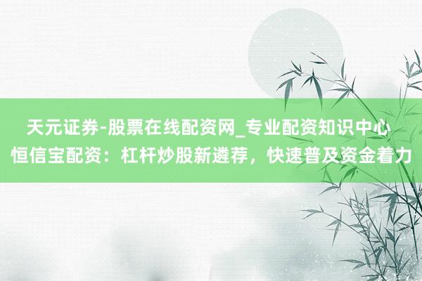 天元证券-股票在线配资网_专业配资知识中心 恒信宝配资：杠杆炒股新遴荐，快速普及资金着力