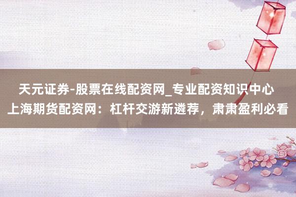 天元证券-股票在线配资网_专业配资知识中心 上海期货配资网：杠杆交游新遴荐，肃肃盈利必看