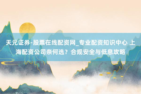 天元证券-股票在线配资网_专业配资知识中心 上海配资公司奈何选？合规安全与低息攻略