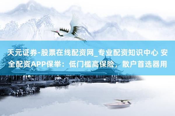 天元证券-股票在线配资网_专业配资知识中心 安全配资APP保举：低门槛高保险，散户首选器用