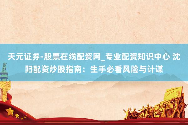 天元证券-股票在线配资网_专业配资知识中心 沈阳配资炒股指南：生手必看风险与计谋
