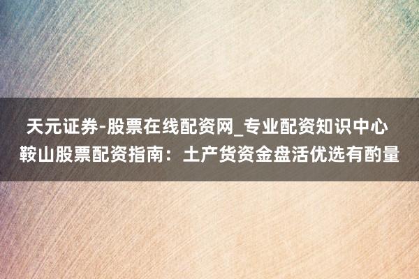 天元证券-股票在线配资网_专业配资知识中心 鞍山股票配资指南：土产货资金盘活优选有酌量