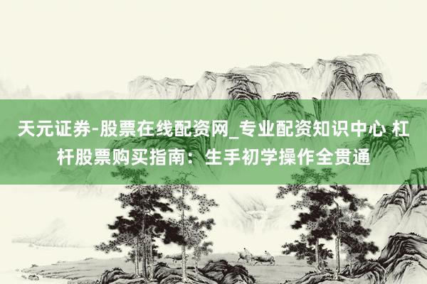 天元证券-股票在线配资网_专业配资知识中心 杠杆股票购买指南：生手初学操作全贯通
