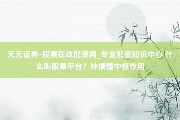 天元证券-股票在线配资网_专业配资知识中心 什么叫股票平台？钟搞懂中枢作用