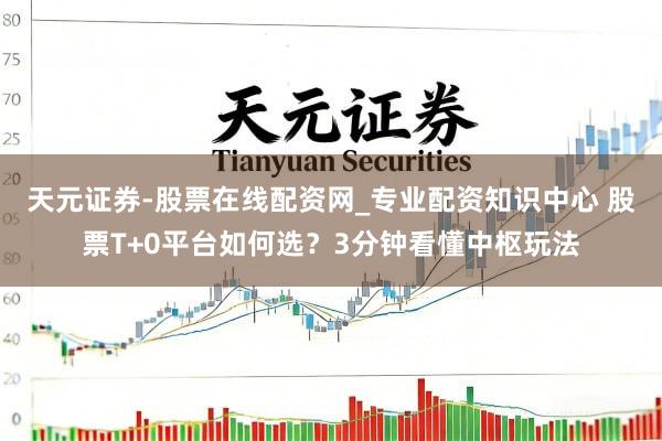 天元证券-股票在线配资网_专业配资知识中心 股票T+0平台如何选？3分钟看懂中枢玩法